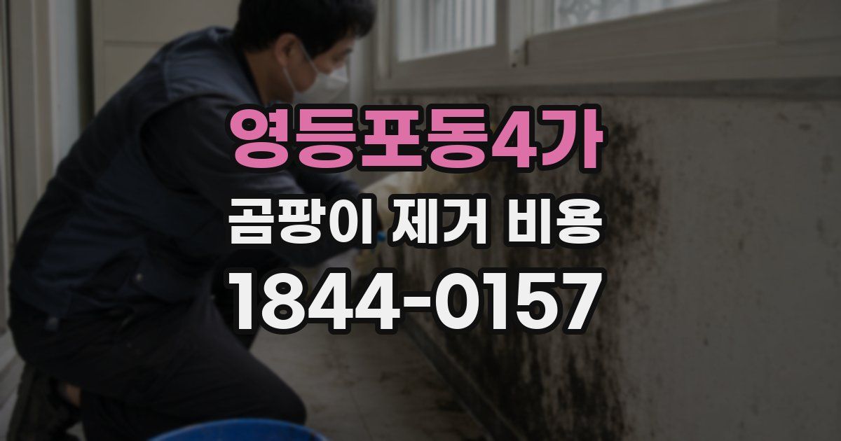 영등포동4가 곰팡이 제거 비용