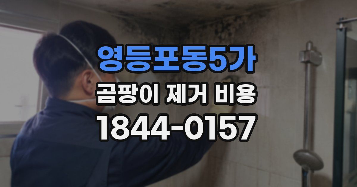 영등포동5가 곰팡이 제거 비용
