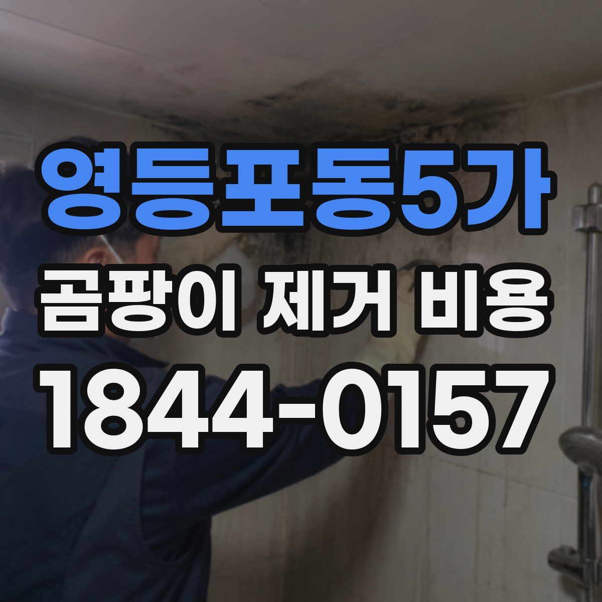 영등포동5가 곰팡이 제거 비용