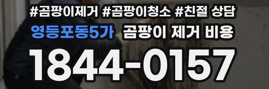 영등포동5가 곰팡이 제거 비용