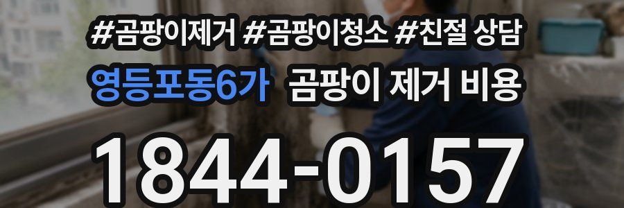 영등포동6가 곰팡이 제거 비용