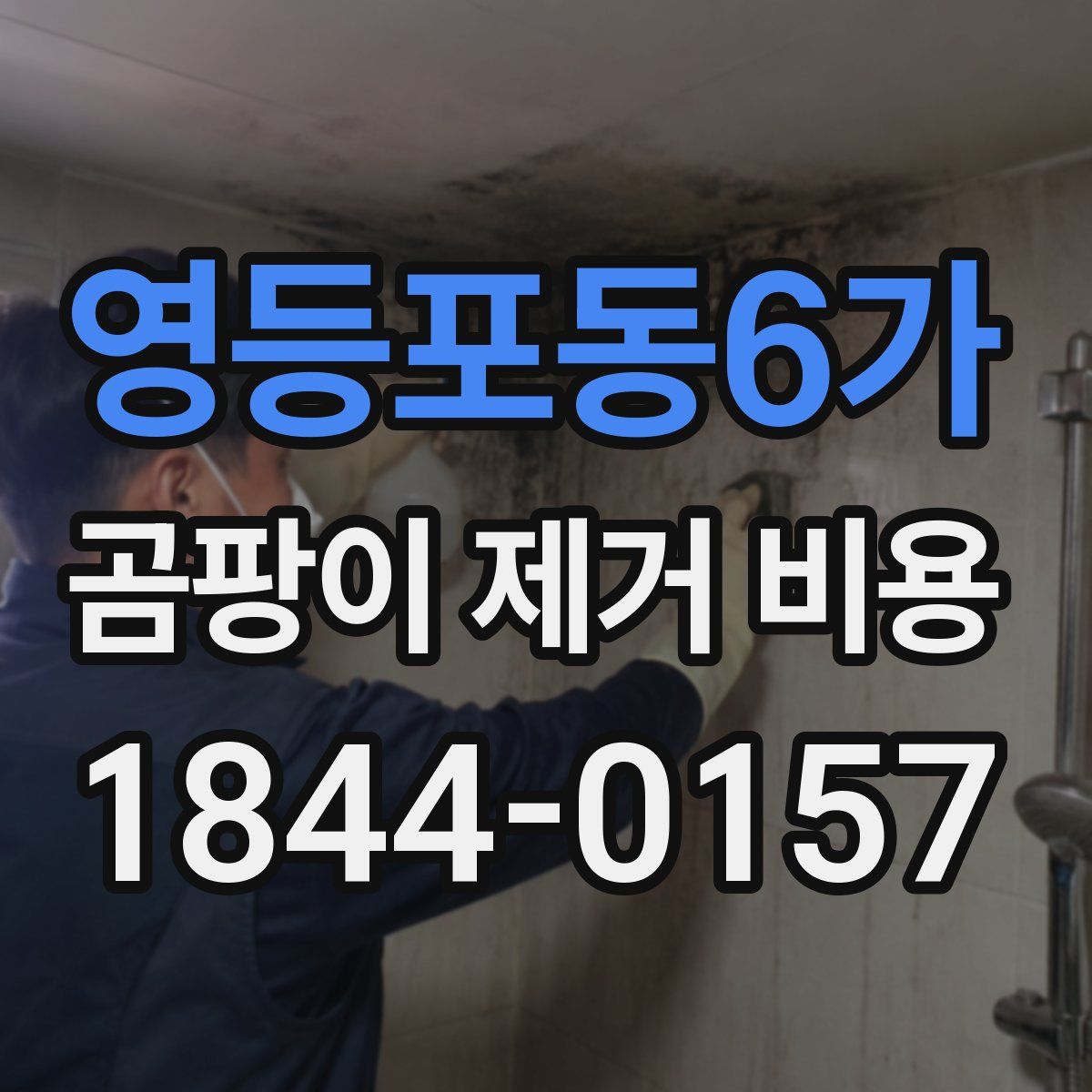 영등포동6가 곰팡이 제거 비용