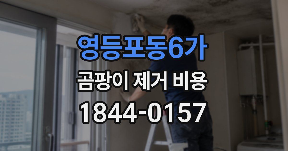 영등포동6가 곰팡이 제거 비용