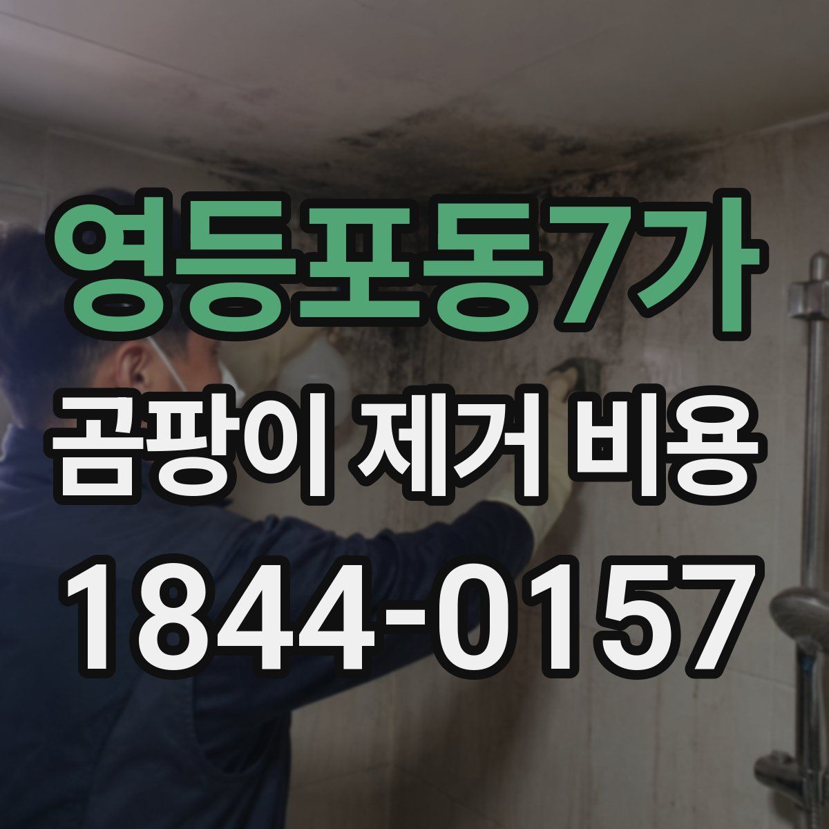 영등포동7가 곰팡이 제거 비용