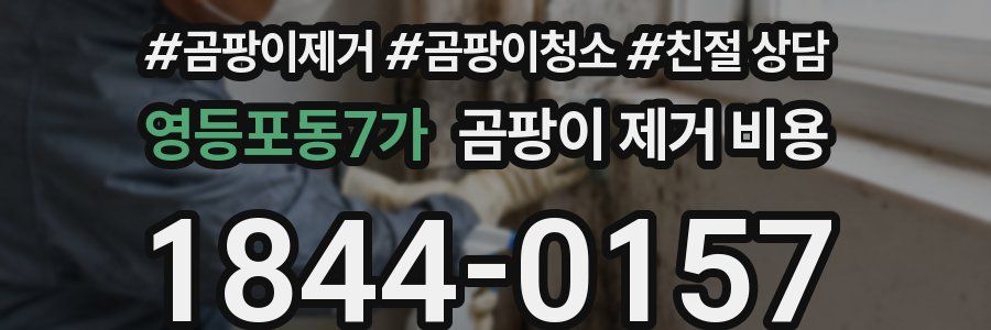 영등포동7가 곰팡이 제거 비용