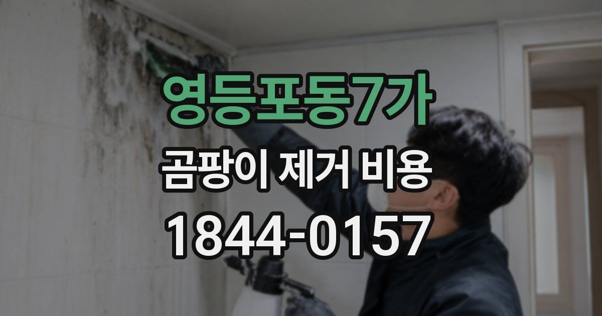 영등포동7가 곰팡이 제거 비용