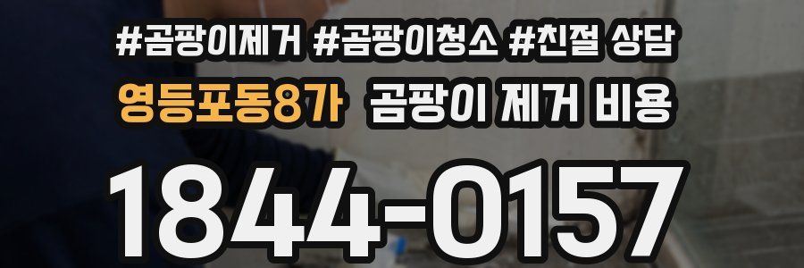 영등포동8가 곰팡이 제거 비용