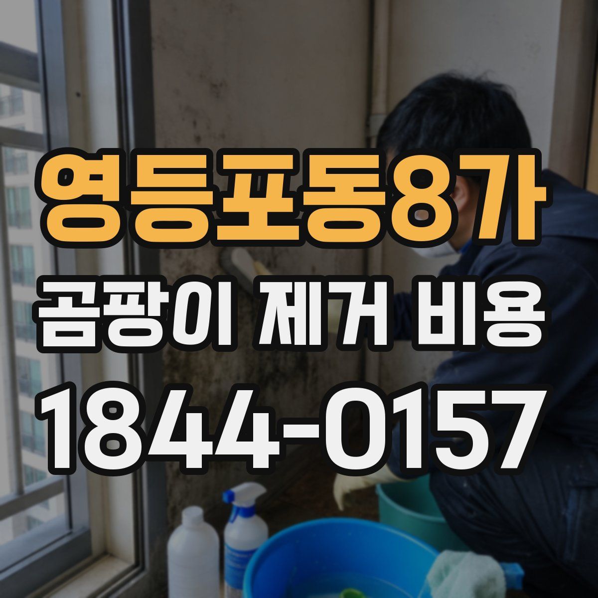 영등포동8가 곰팡이 제거 비용