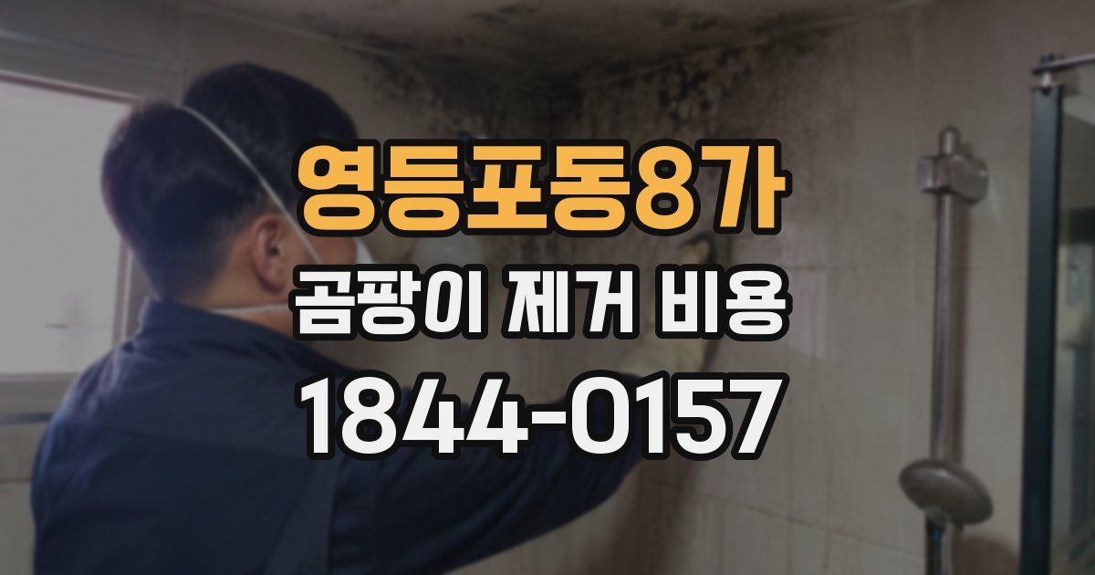 영등포동8가 곰팡이 제거 비용