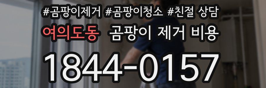 여의도동 곰팡이 제거 비용