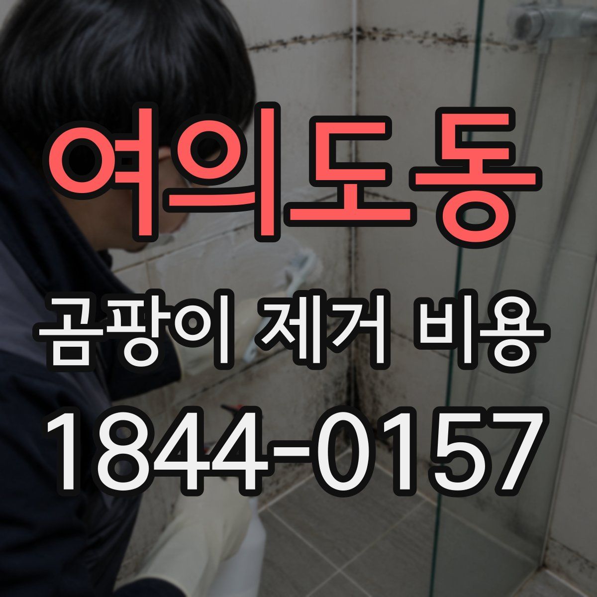 여의도동 곰팡이 제거 비용
