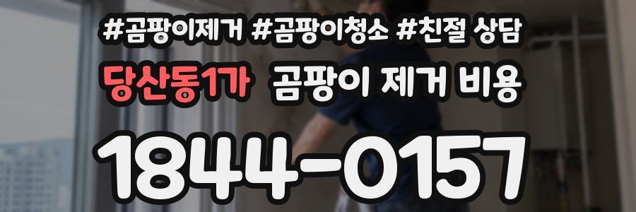 당산동1가 곰팡이 제거 비용