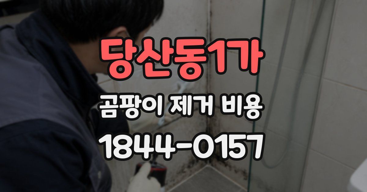 당산동1가 곰팡이 제거 비용