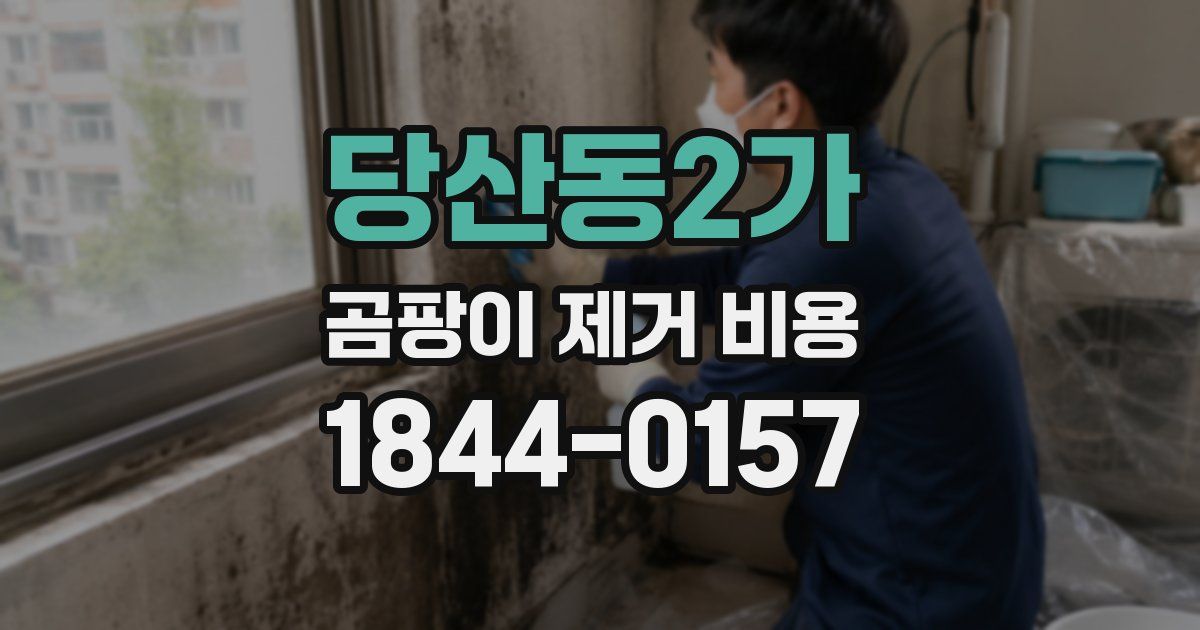 당산동2가 곰팡이 제거 비용