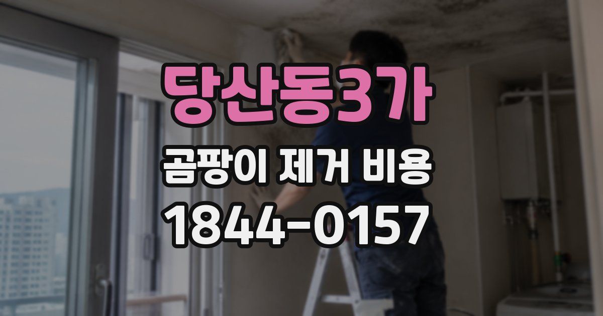 당산동3가 곰팡이 제거 비용