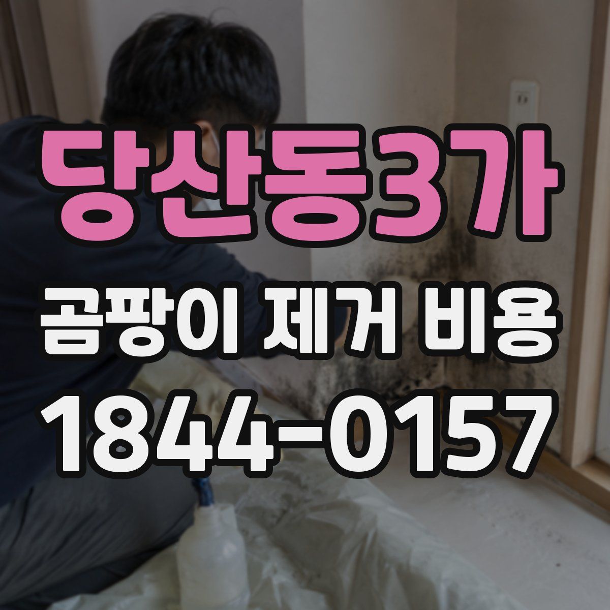당산동3가 곰팡이 제거 비용