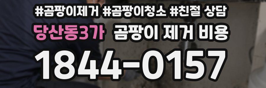 당산동3가 곰팡이 제거 비용