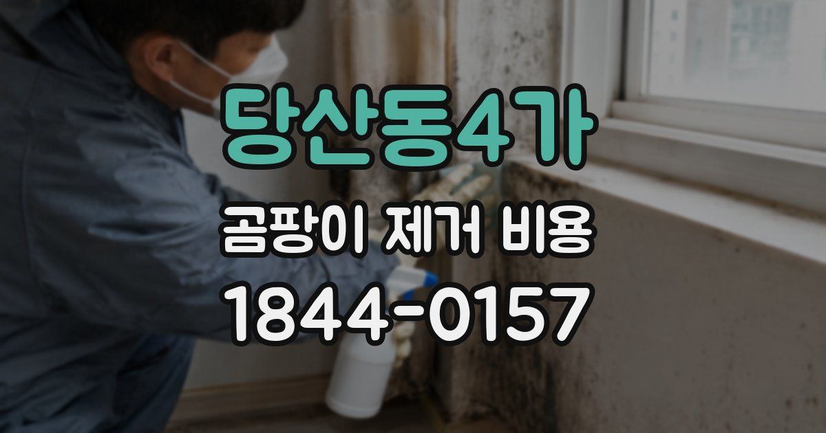 당산동4가 곰팡이 제거 비용