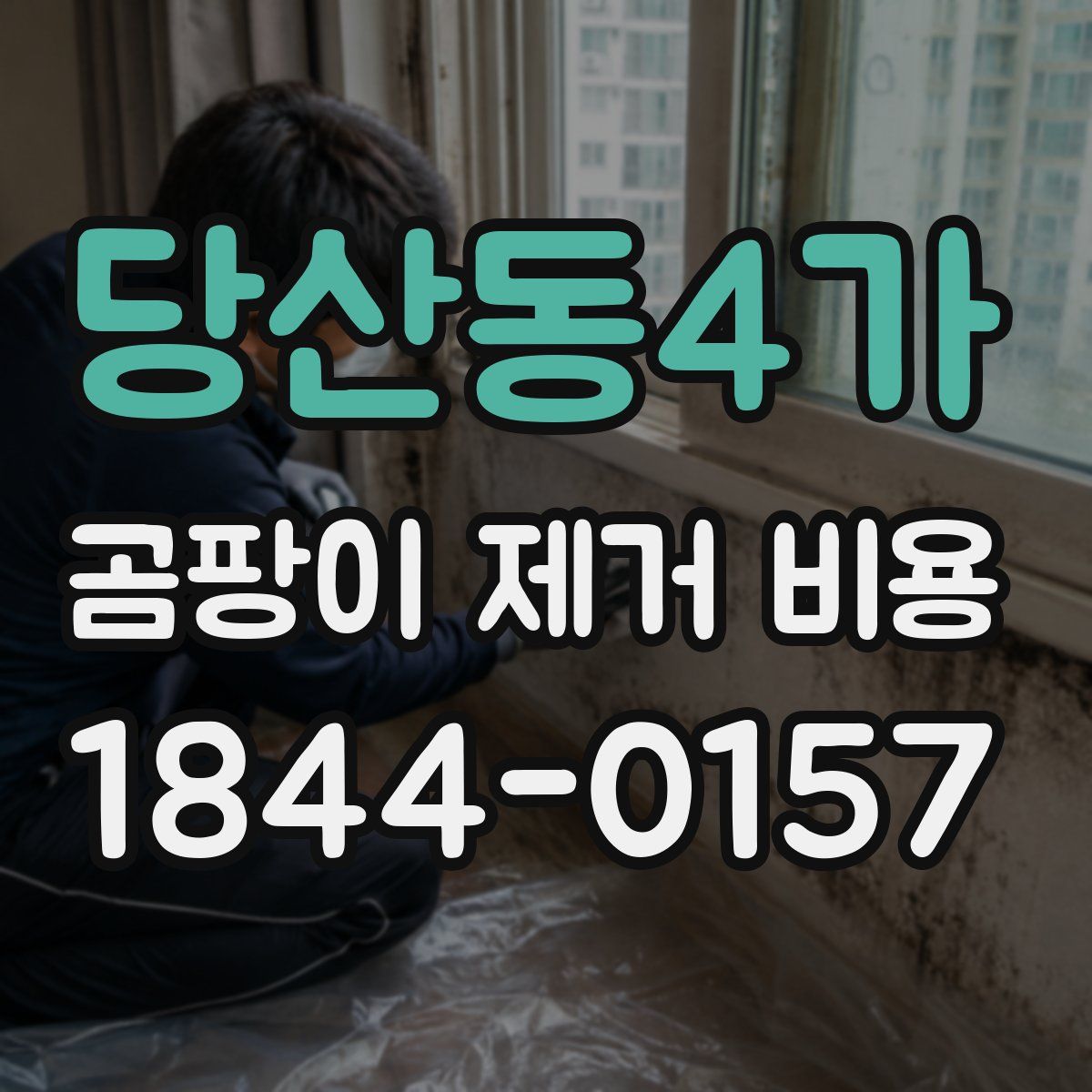 당산동4가 곰팡이 제거 비용