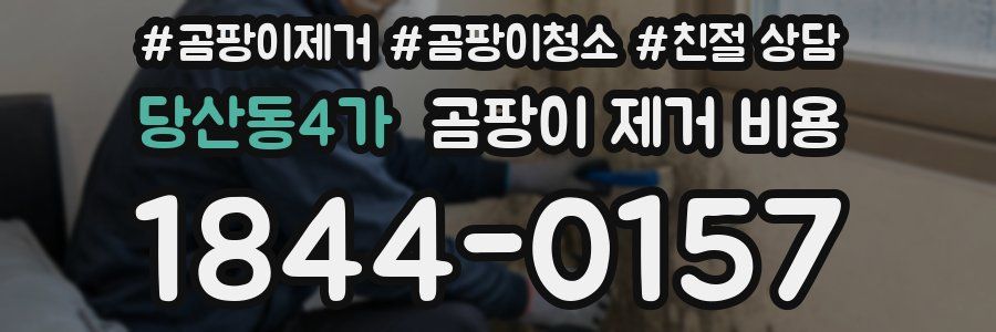 당산동4가 곰팡이 제거 비용