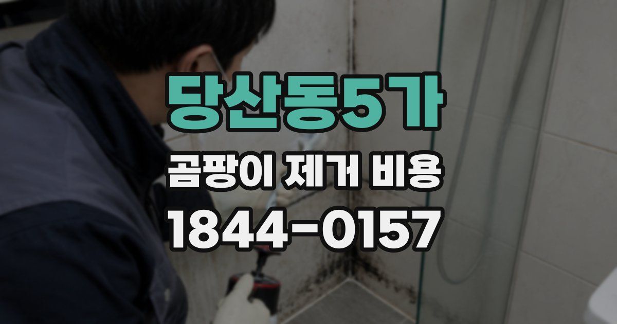 당산동5가 곰팡이 제거 비용