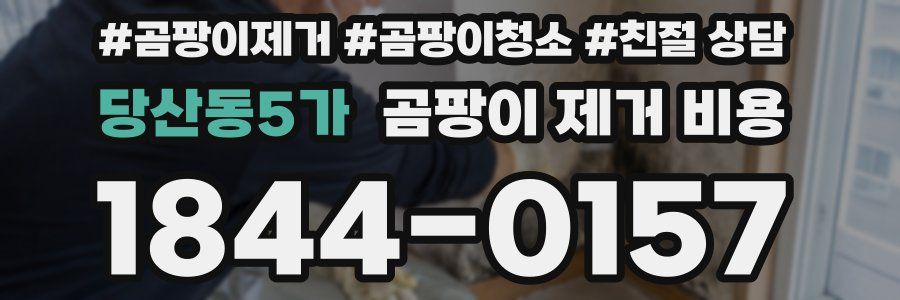 당산동5가 곰팡이 제거 비용