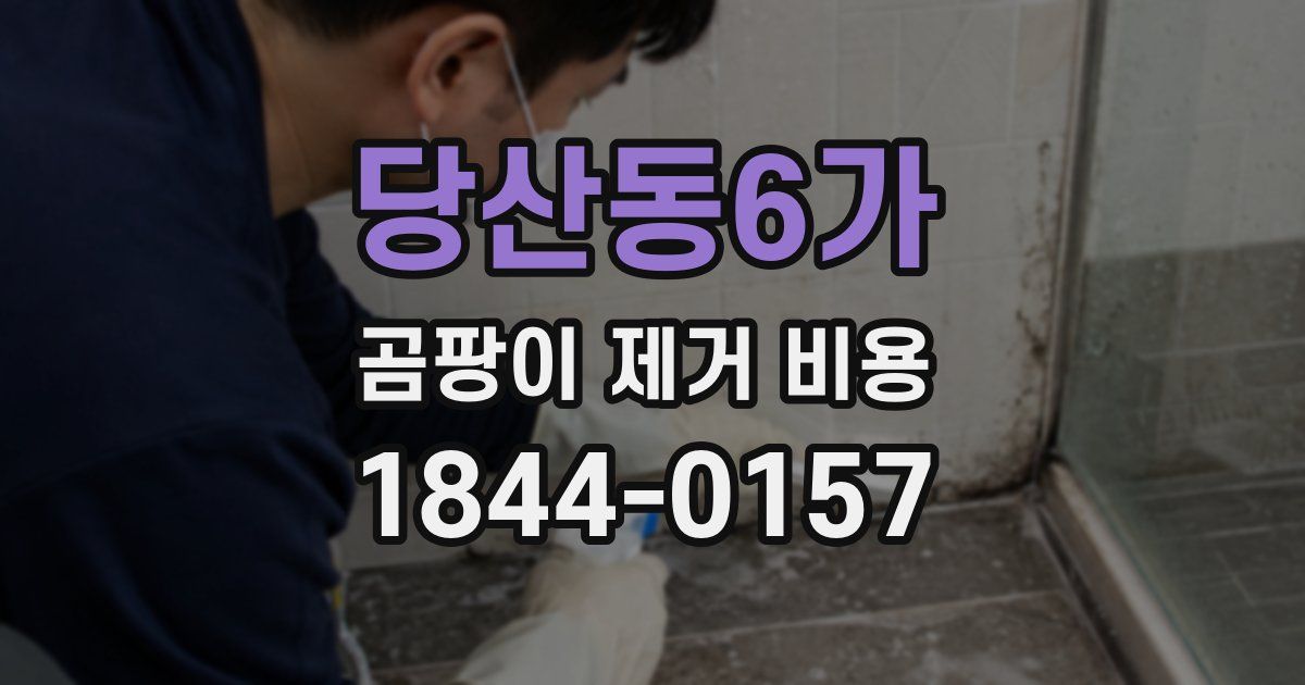 당산동6가 곰팡이 제거 비용