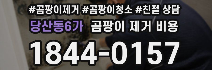 당산동6가 곰팡이 제거 비용