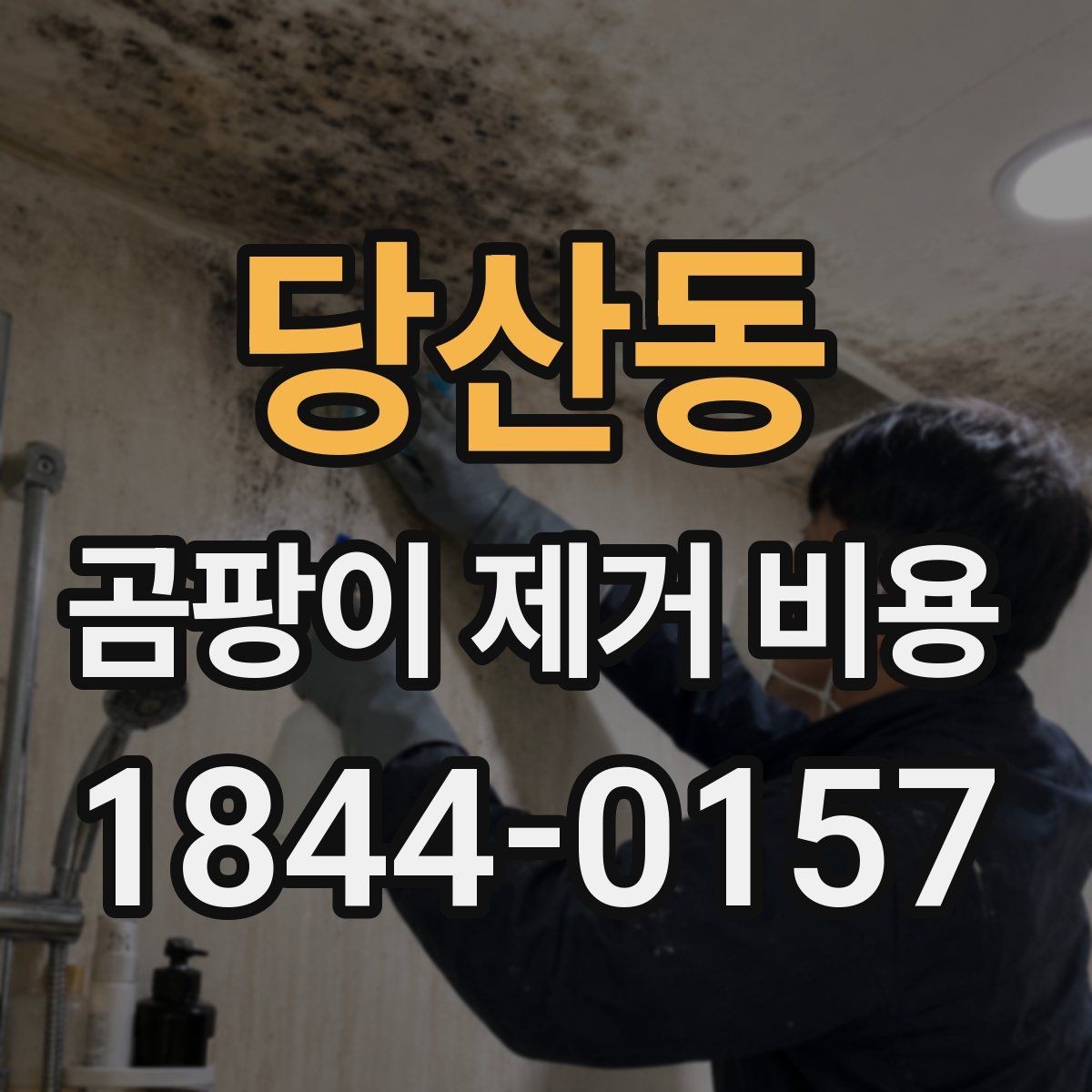 당산동 곰팡이 제거 비용 작업 범위에 따라 달라지는 항목들