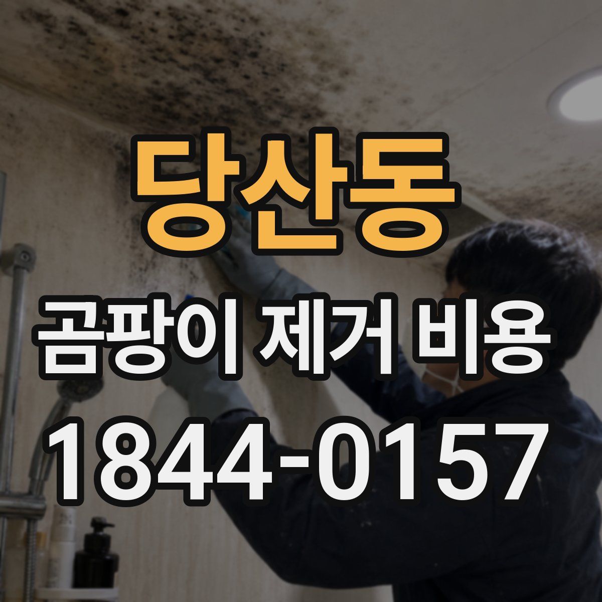 당산동 곰팡이 제거 비용
