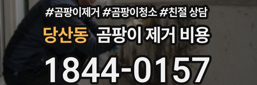 당산동 곰팡이 제거 비용