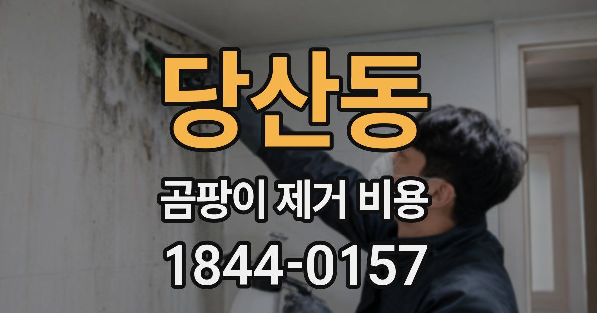 당산동 곰팡이 제거 비용