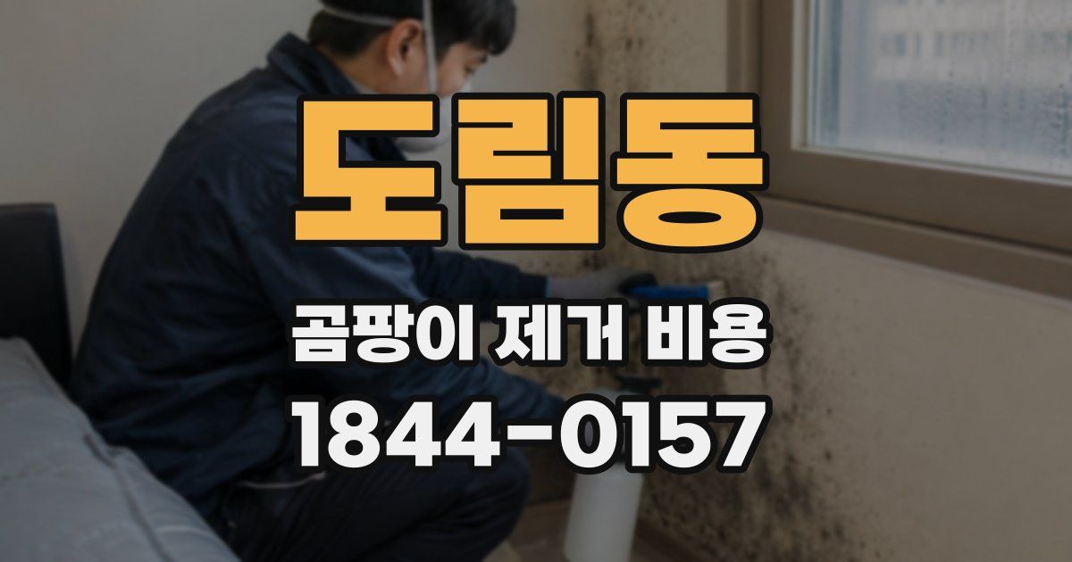 도림동 곰팡이 제거 비용