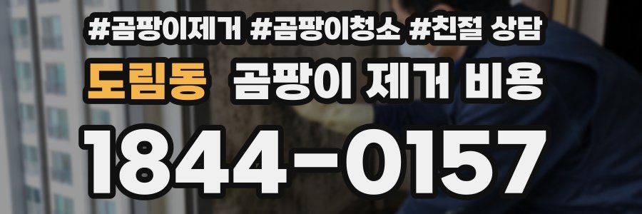 도림동 곰팡이 제거 비용