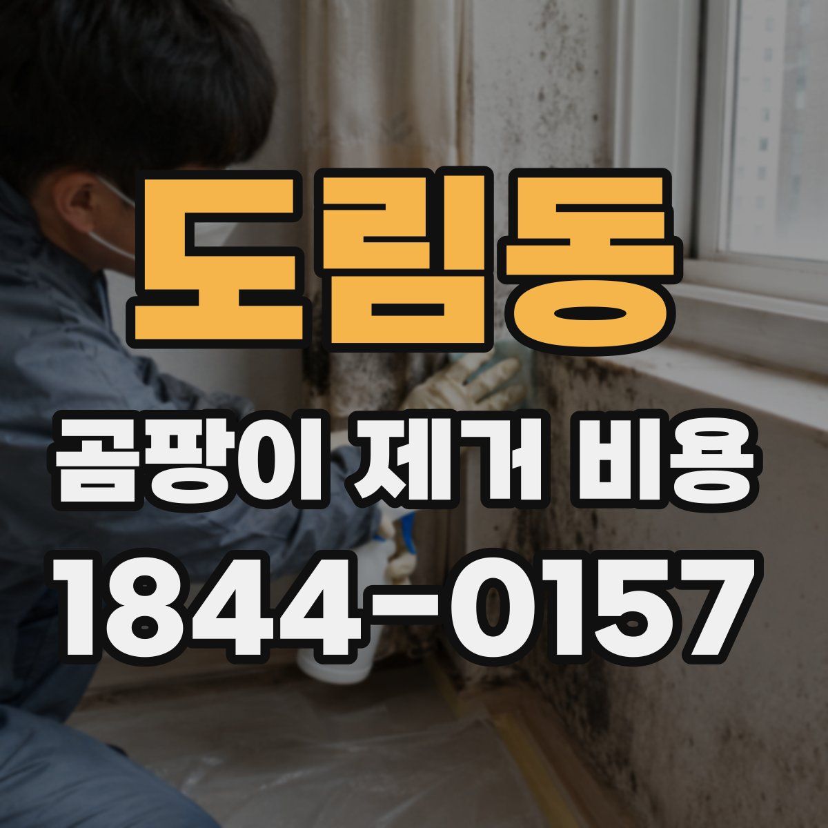 도림동 곰팡이 제거 비용