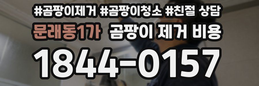 문래동1가 곰팡이 제거 비용