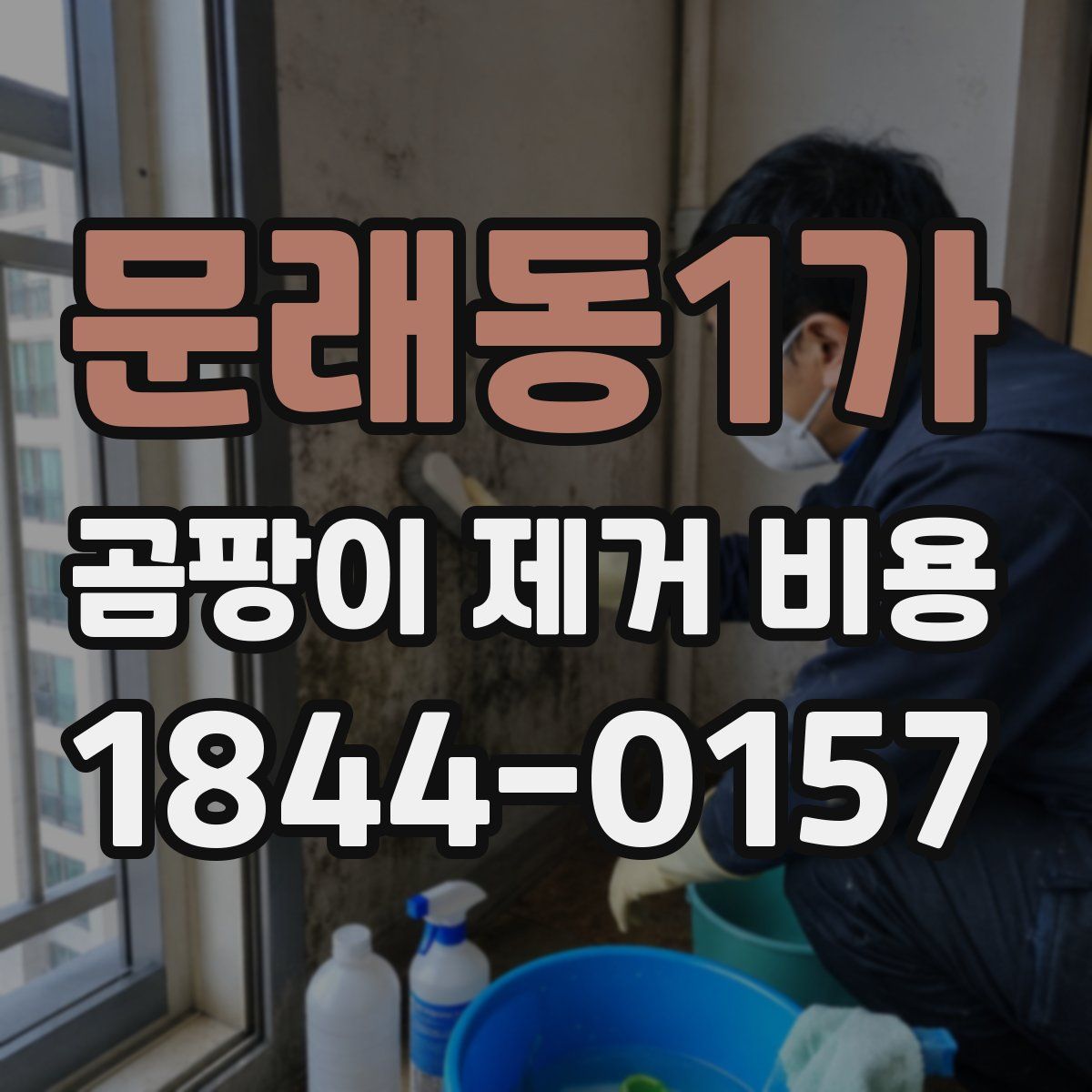문래동1가 곰팡이 제거 비용
