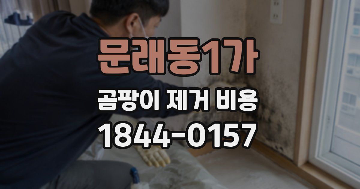 문래동1가 곰팡이 제거 비용