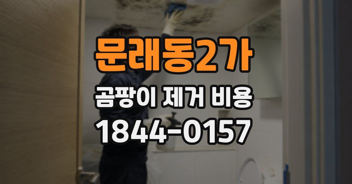 문래동2가 곰팡이 제거 비용
