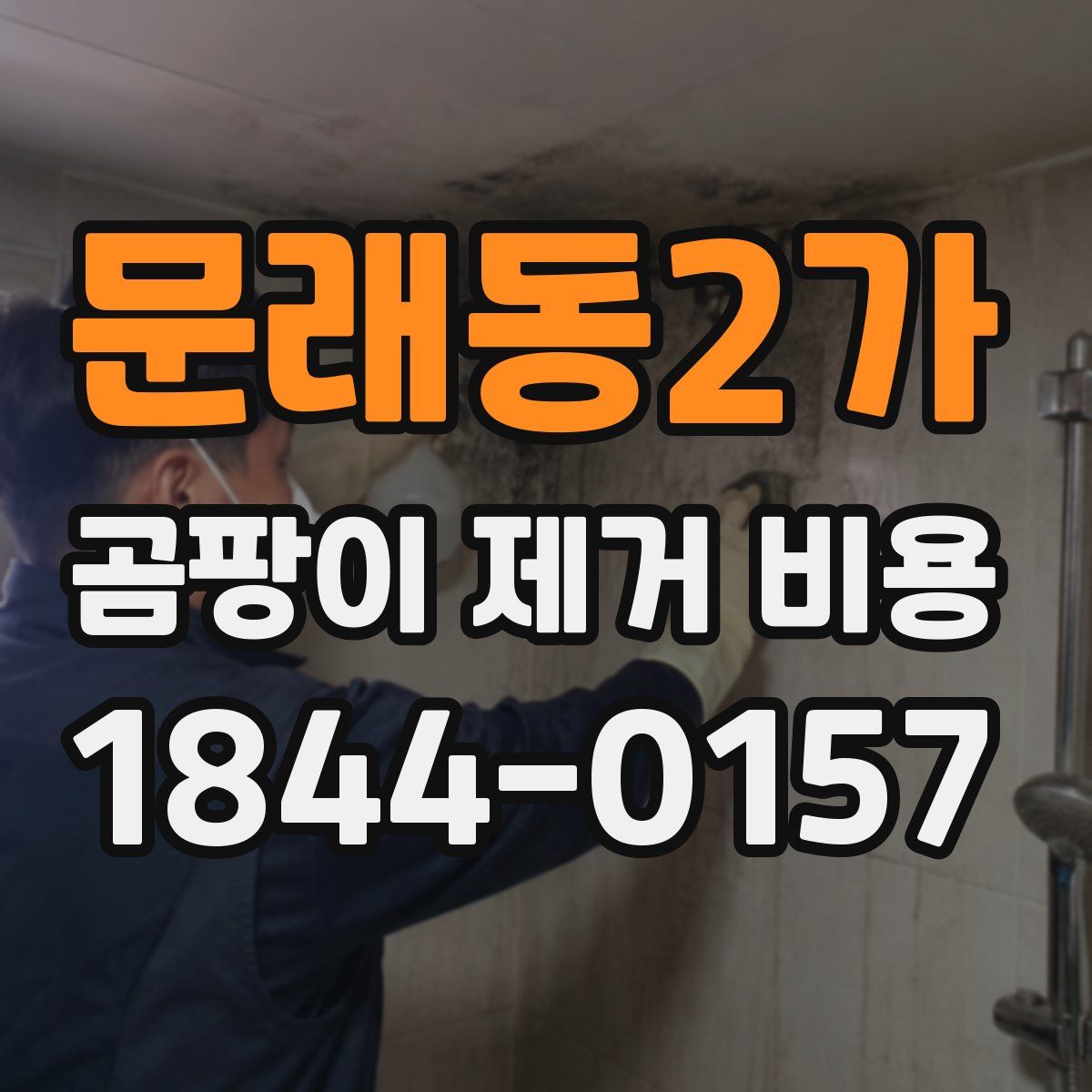 문래동2가 곰팡이 제거 비용