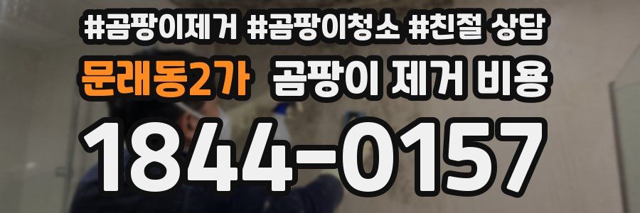 문래동2가 곰팡이 제거 비용