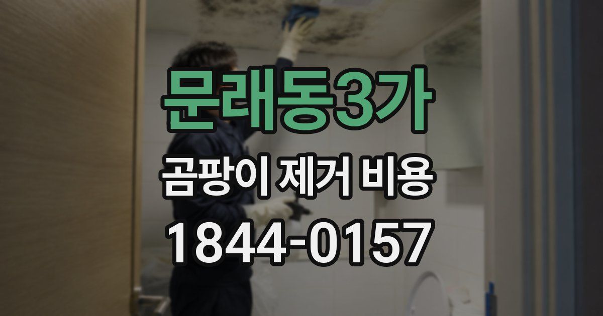 문래동3가 곰팡이 제거 비용