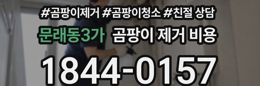 문래동3가 곰팡이 제거 비용