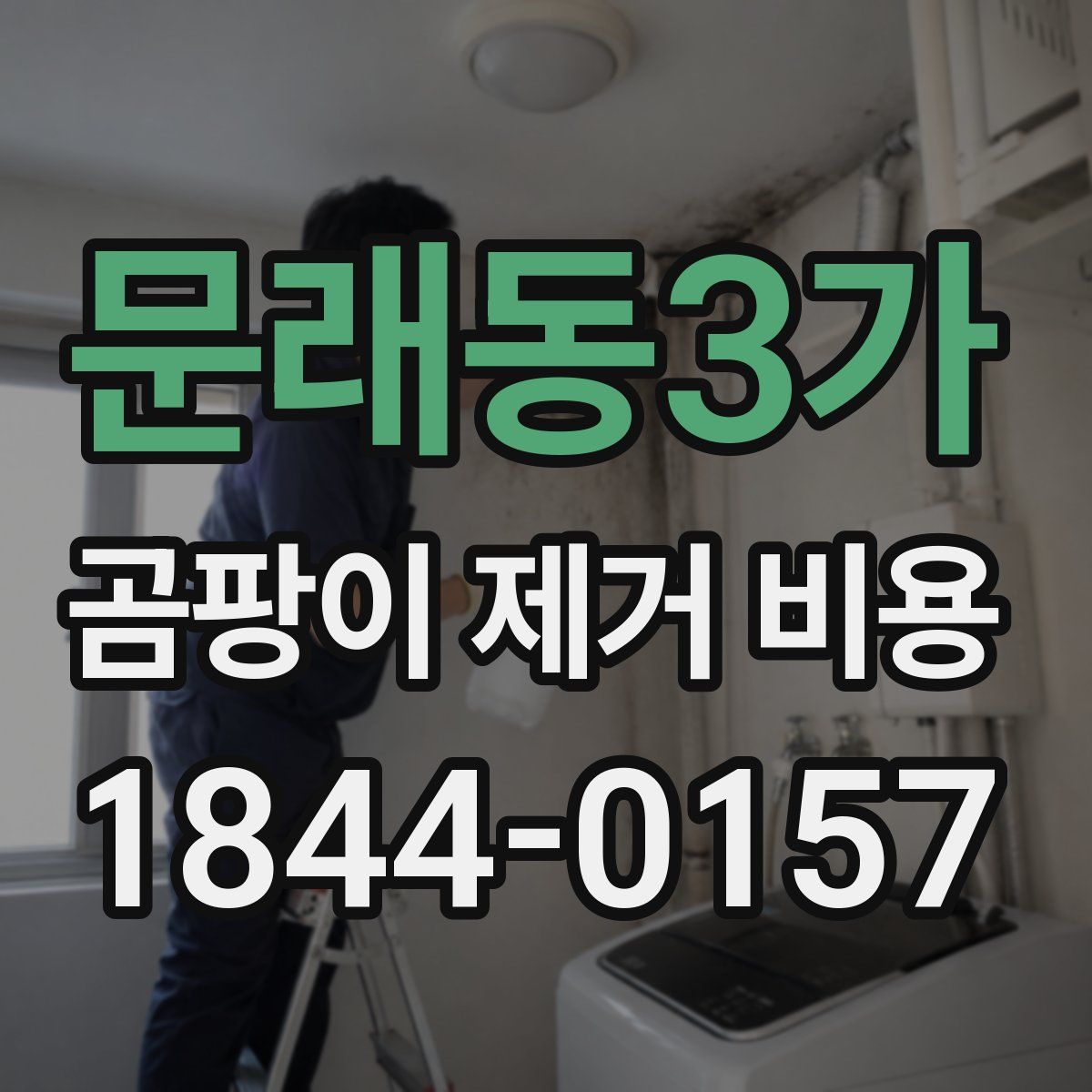 문래동3가 곰팡이 제거 비용