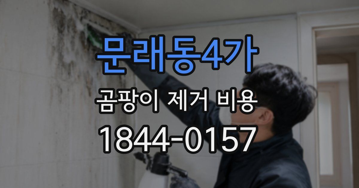 문래동4가 곰팡이 제거 비용