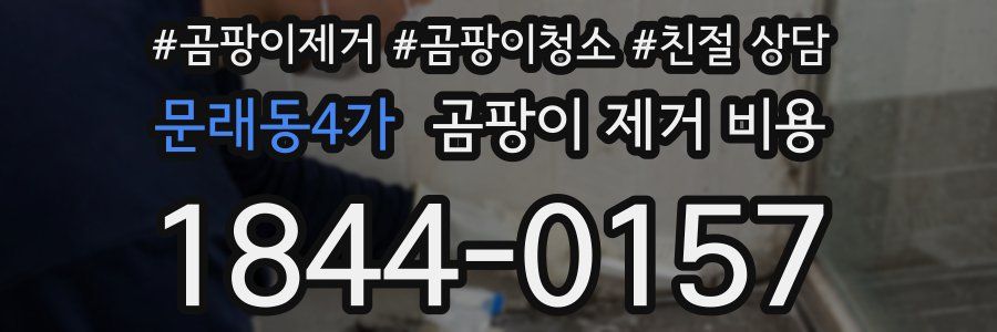 문래동4가 곰팡이 제거 비용