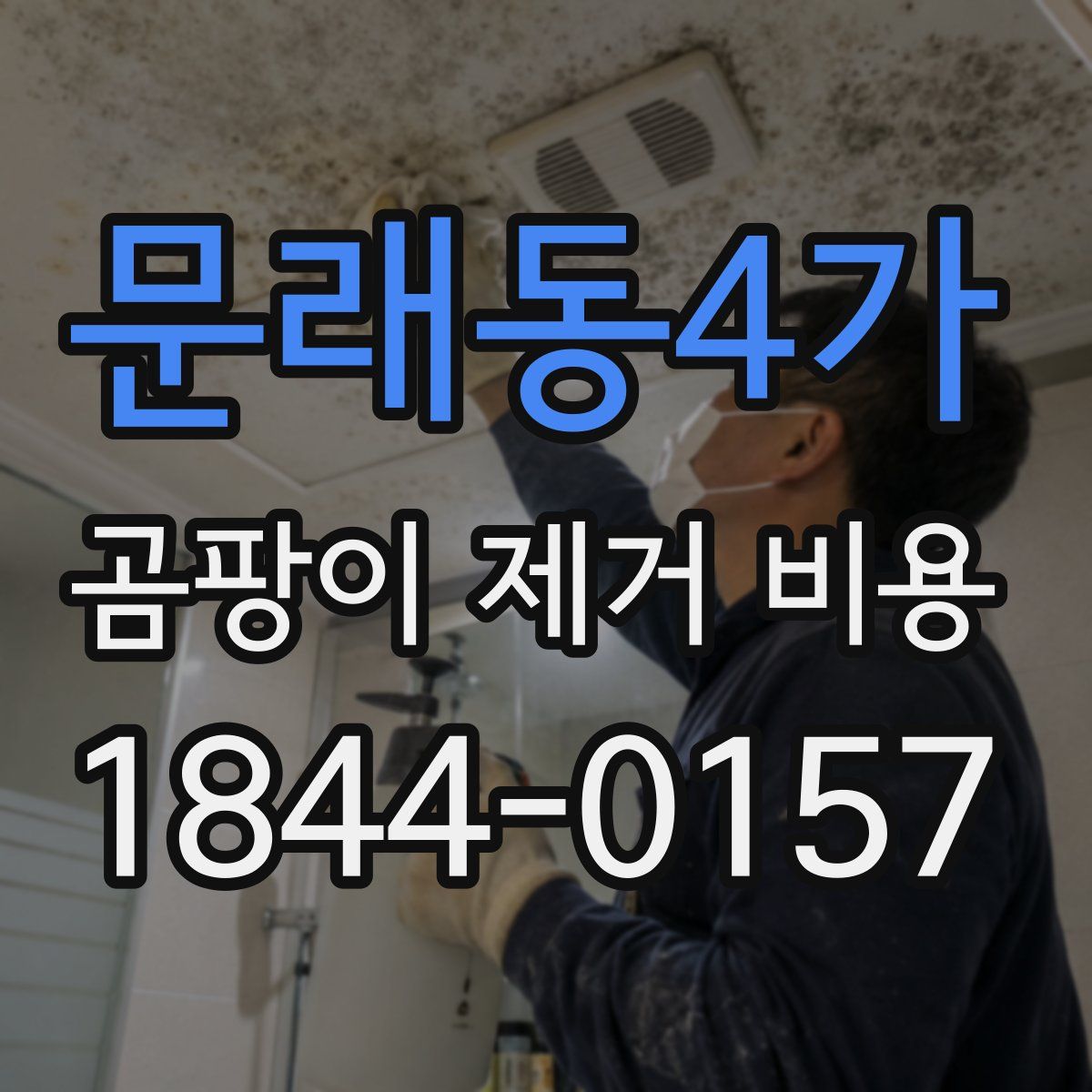 문래동4가 곰팡이 제거 비용
