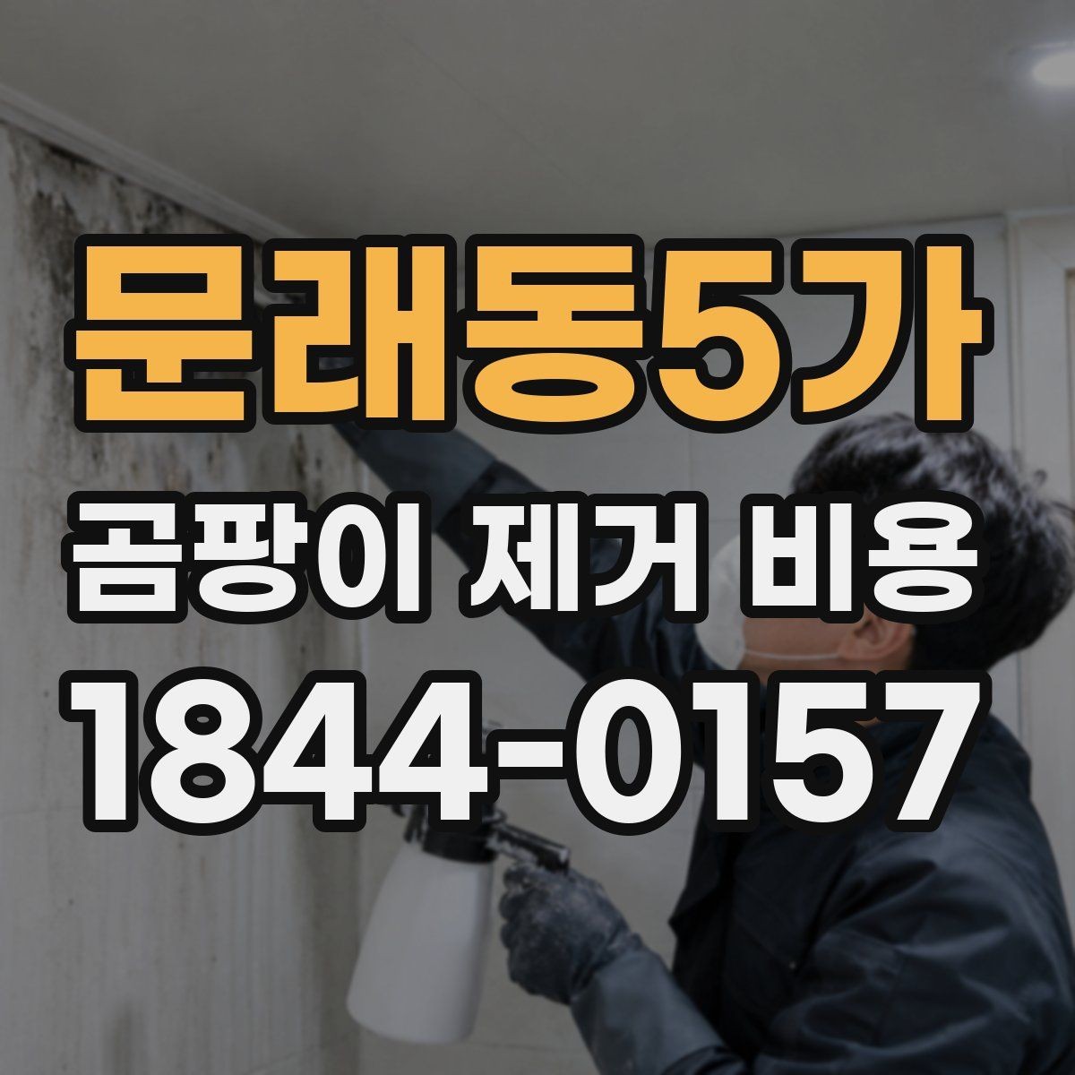 문래동5가 곰팡이 제거 비용 작업 전 확인하는 오염 범위 기준