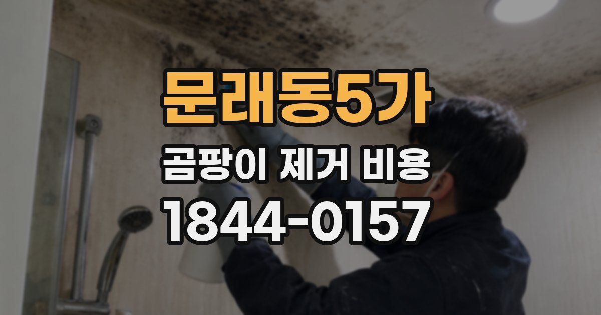 문래동5가 곰팡이 제거 비용