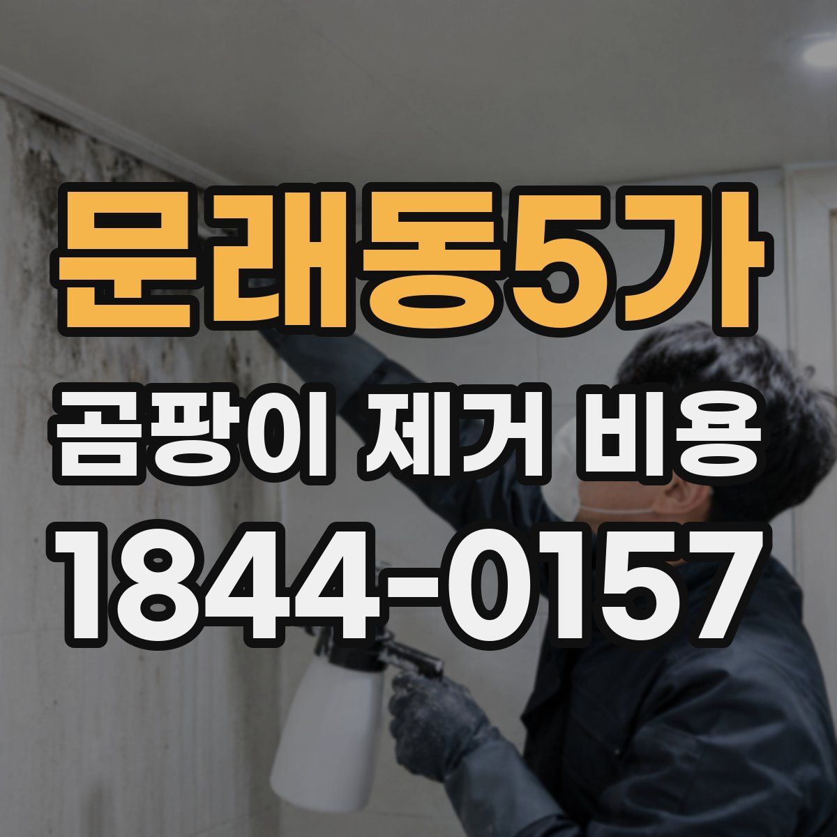 문래동5가 곰팡이 제거 비용